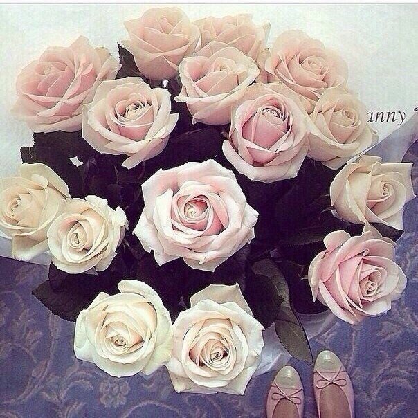   |  |  - 30  2015  23:40 - 5