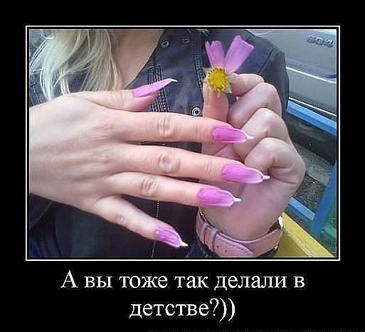   |  |  - 24  2015  06:03