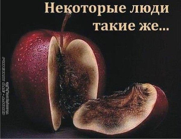  -   - 24  2015  17:30