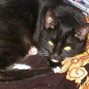 ���� ����, ���������� �����, 56 ��� - ��������� 28 ������ 2015 � ������ ���� ����������