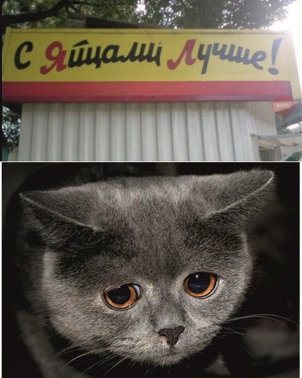    :-) - 5  2015  12:20