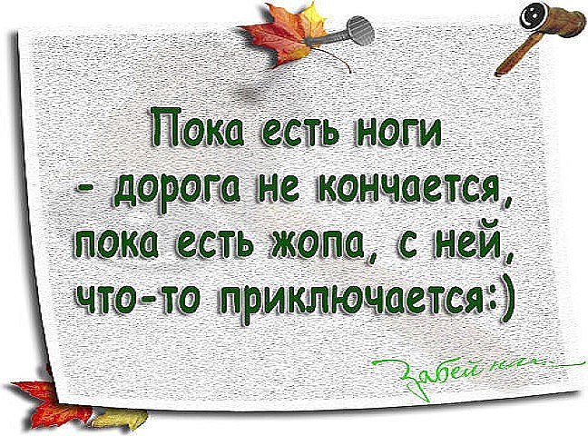  - 18  2015  18:49