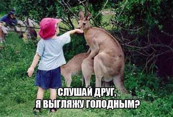   :-) - 28  2015  01:04