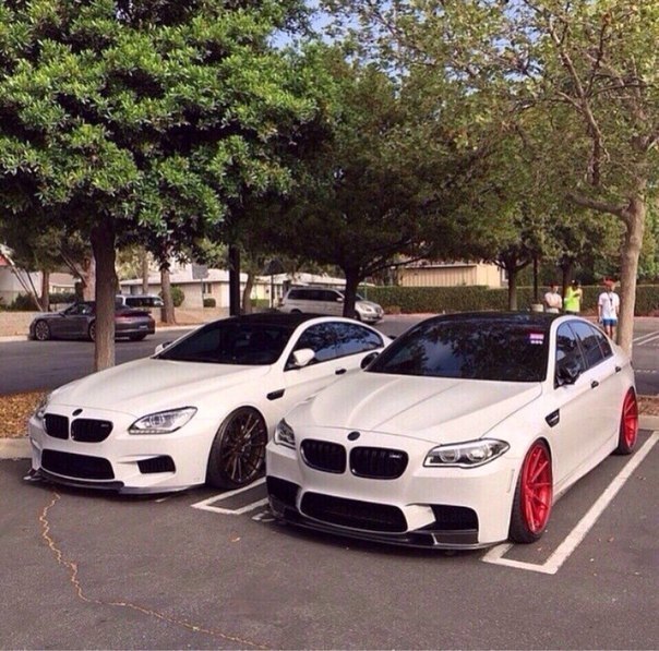 BMW M6 & M5