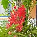    -  ,  -  4  2015    2014.  Lawana.  7-.