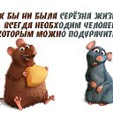 ���� �������, ����������, 45 ��� - ��������� 26 ��� 2015 � ������ ������ ��������