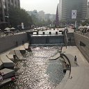 ���� �����, ����-���, 40 ��� - ��������� 25 ������� 2015 � ������ ���� ����������