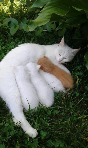 :3 - 3