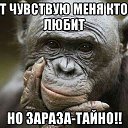 ���� �����, ������-��-���� - ��������� 14 ������� 2015 � ������ ������ ��������