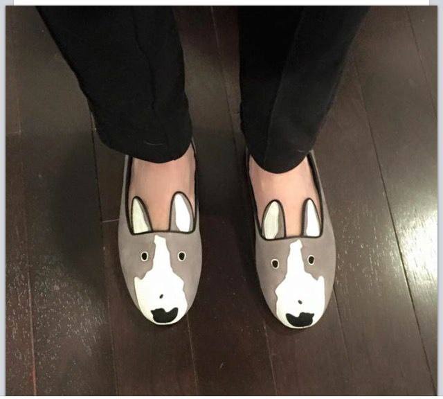 Английский бультерьер. - 15 мая 2015 в 23:21