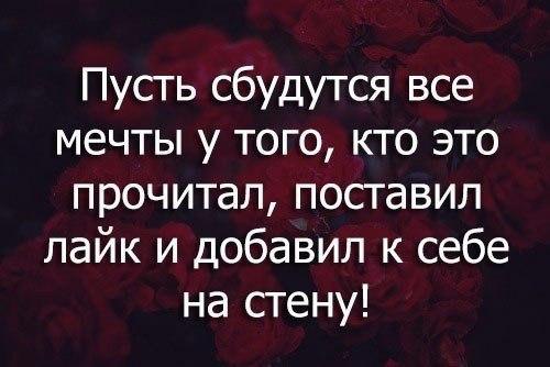    :D - 13  2015  10:47