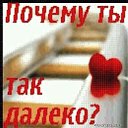 ���� �������, ������ - ��������� 23 ������� 2015 � ������ ������ ��������