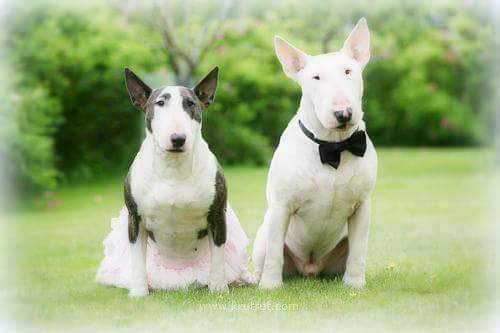 Прелестное фото