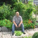 ���� ���������, ���������, 62 ���� - ��������� 29 ������� 2015 � ������ ���� ����������