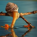 ���� ����� (����), ��������������, 43 ���� - ��������� 15 �������� 2015 � ������ ���� ����������