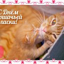 ���� Keti, �������, 54 ���� - ��������� 27 ���� 2015 � ������ �������� ������ �� ��������!!!�