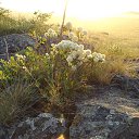 ���� Vicktor, ���������, 59 ��� - ��������� 3 ���� 2015 � ������ ������� 2015�