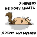 ���� �����, ����, 44 ���� - ��������� 11 ��� 2015 � ������ ������ ��������