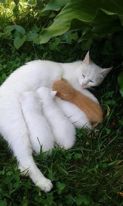 :3 - 3