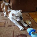 ���� �����, ������������, 48 ��� - ��������� 13 ���� 2015 � ������ ����������