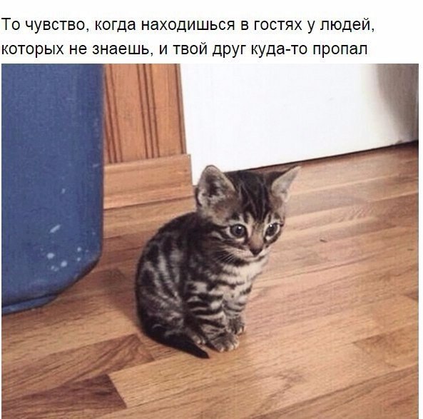  ... - 5