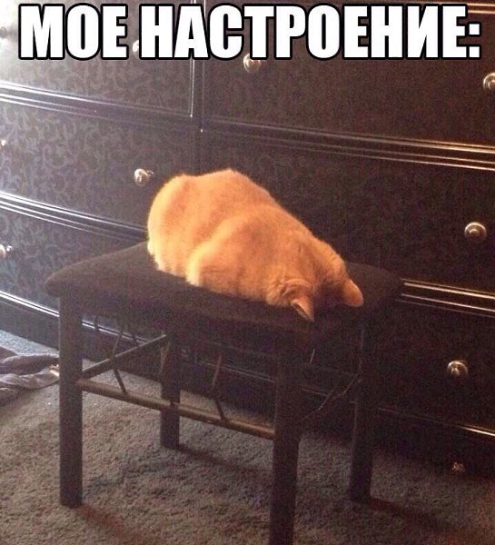    :-) - 23  2015  20:02