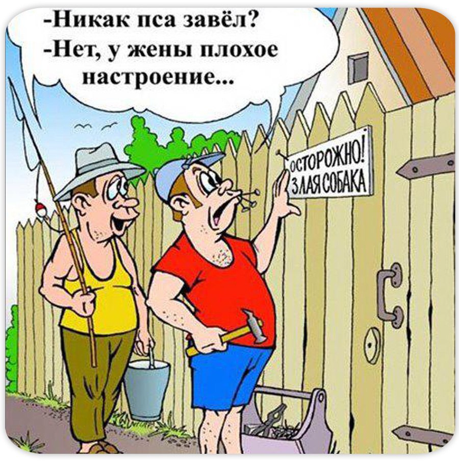 Юмор анекдоты в картинках