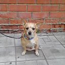 ���� ���������, ������, 53 ���� - ��������� 6 ���� 2015 � ������ ������ ����� �����������.�