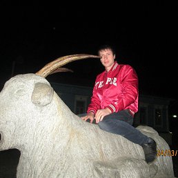 �������, �������, 39 ���