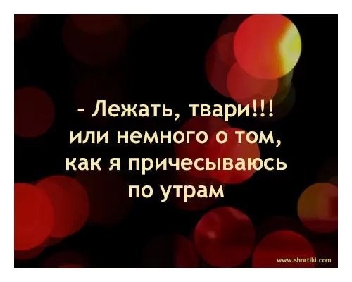   - 8  2015  18:31