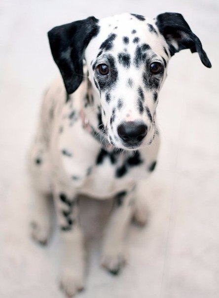   - 9  2015  18:05 - 4