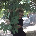 ���� ��������, ������ ���, 60 ��� - ��������� 20 ��� 2015 � ������ ���� ����������