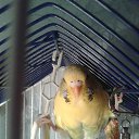 ���� ������������ �� ������� ���� ����� � �����������!�