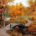 ���� ��������, ����� - ��������� 20 �������� 2015 � ������ ������ ��������