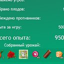  ,  -  2  2015       . 12  2015- ... ..