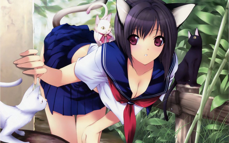 AnImE... - 19  2015  19:59