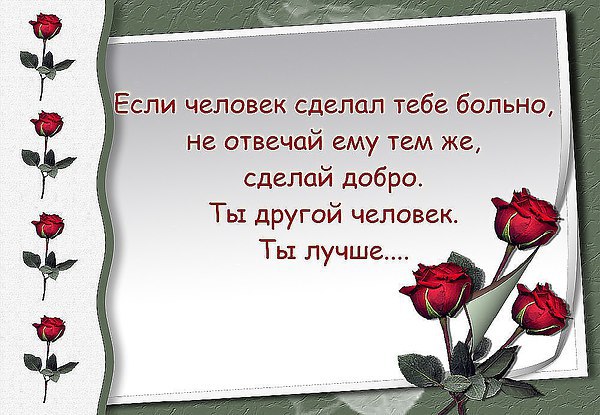  - 11  2015  12:54