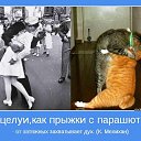 ���� ��������, ������ - ��������� 6 ���� 2015 � ������ ������ ��������