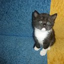 ���� ������, ����, 75 ��� - ��������� 7 ��� 2015 � ������ ������ ��������