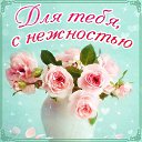 ���� Le Don De Dieu, ����� - ��������� 4 ��� 2015 � ������ �������� ��������