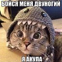 ���� Vladimip, �����������, 60 ��� - ��������� 29 ���� 2015 � ������ ������ ��������