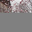 ���� ������, ������, 46 ��� - ��������� 19 ��� 2015 � ������ ���� ����������