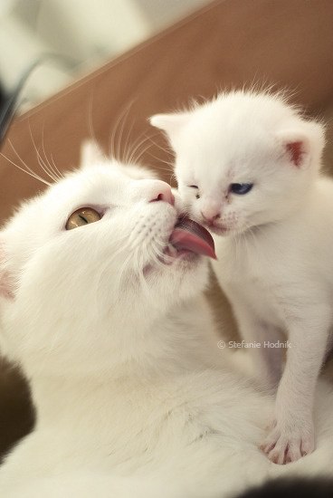  :3 - 4
