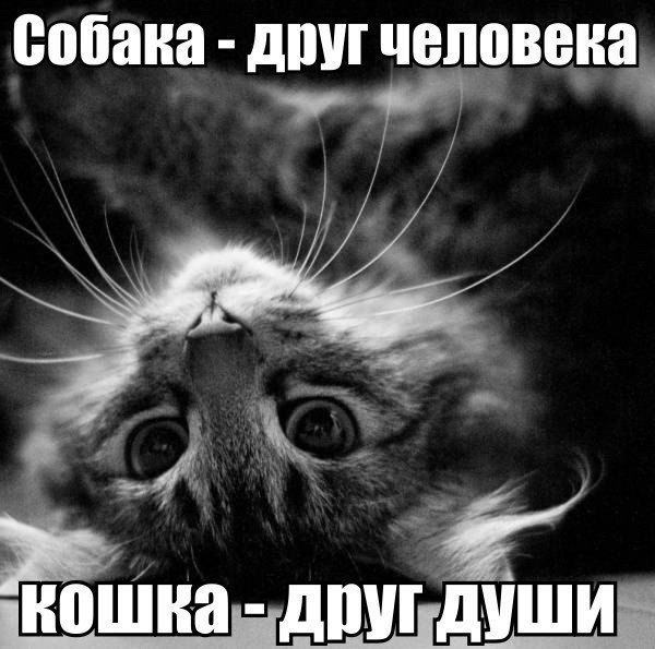       - 15  2015  13:01