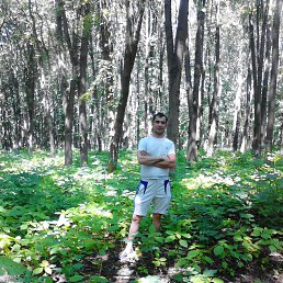 ��������, ������, 40 ���