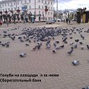 ���� �����, �������������, 80 ��� - ��������� 20 ������� 2015 � ������ ���� �����