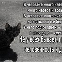 ���� ������, ������ - ��������� 24 �������� 2015 � ������ ������ ��������