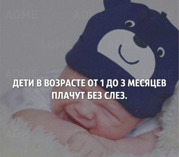   ,       . - 4