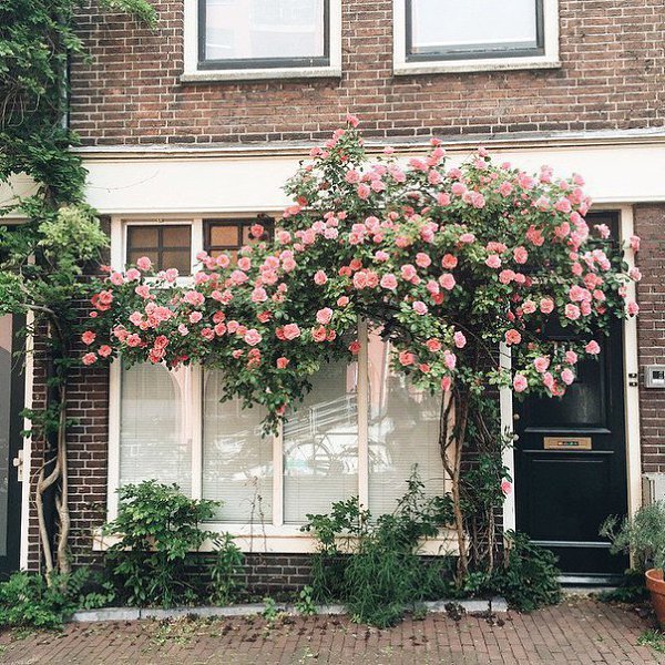 Summer in Amsterdam, The Netherlands.