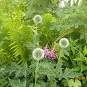 ��������� �� �������... �� ������� ��� ����